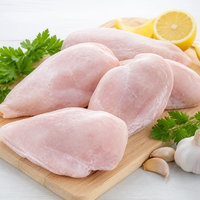 Filets de poitrine de poulet surgelés IQF de qualité supérieure, viande de volaille entière pour la restauration et la transformation en gros