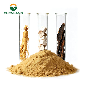 Bán buôn số lượng lớn Panax <span class=keywords><strong>Ginseng</strong></span> <span class=keywords><strong>Ginseng</strong></span> chiết xuất nhân sâm bột ginsenosides 60% từ các nhà sản xuất - Product Image 2