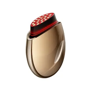 Mini cầm tay LED RF EMS mặt nâng đường viền Massager có thu phí vẻ đẹp không thấm nước thiết bị