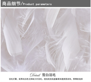 Lampe de sol élégante en cristal avec plumes blanches pour salon, style français, lampe de chevet pour chambre à coucher - Product Image 5