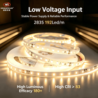Lampu Strip LED Fleksibel DC24V 192LEDs/m SMD2835 Kecerahan Tinggi, Suhu Warna 3000K-6000K, Pencahayaan Lanskap Berbahan Tembaga.