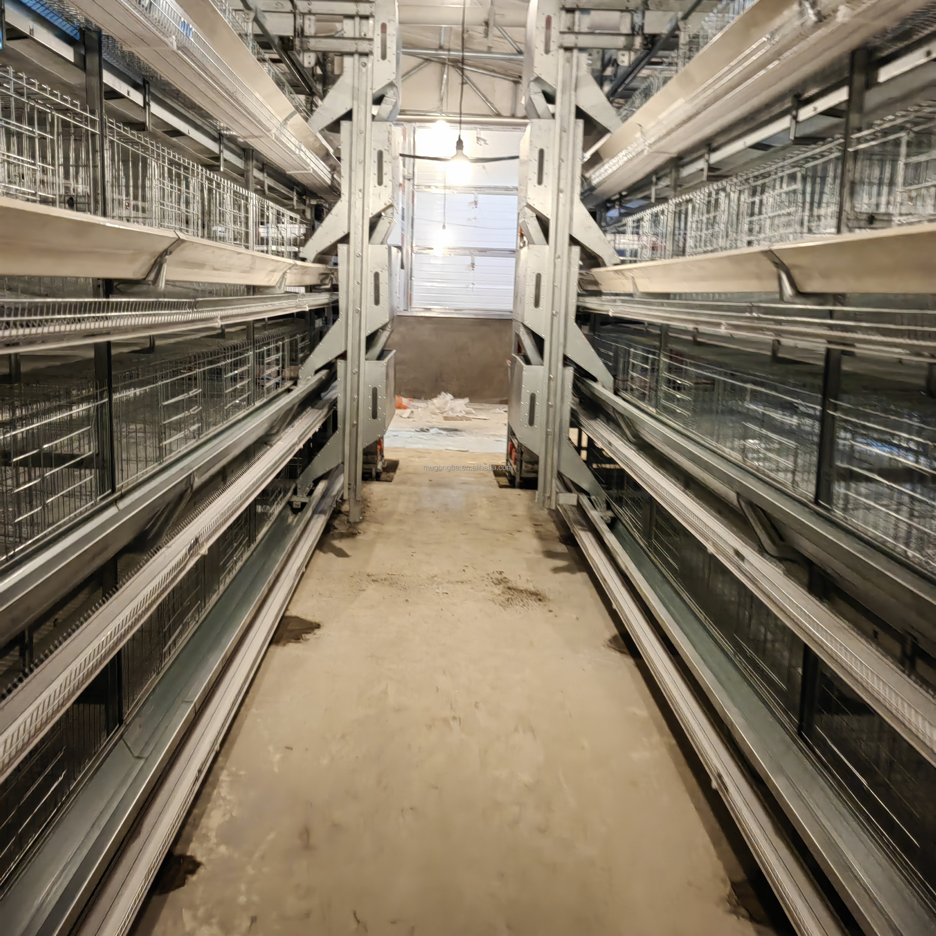 hen house for 1000 chickens