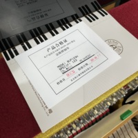 Premium Pearl River Piano Wholesale Fine Craftsmanship Full Resonance Reliable Quality for Worldwide Distributors