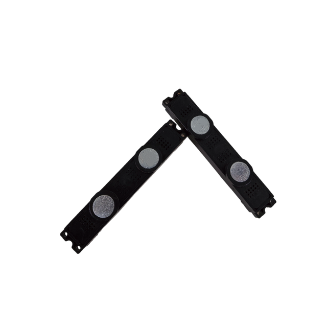 Wangsheng WS-TV-250603 Factory Hot New Product 6.32Vrms 10W Paper Cone TV Speaker Parts 90*15*13mm for TV Maintenance