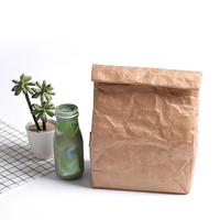 Sac à lunch personnalisé en papier brun Tyvek avec logo écologique réutilisable, étanche, glacière à isolation thermique de grande capacité congelable