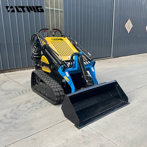 Satılık LTMG çin çok fonksiyonlu paletli yükleyici 300kg küçük kızak nokta dönüşlü yükleyici - Product Image 1