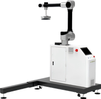 Robot Palettiseur Industriel Automatique PLC Colonne Cobot pour Cartons et Caisses Alimentaires et Boissons