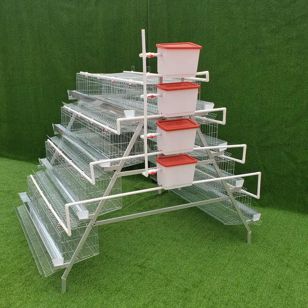 Hot Selling Dip Galvanized Chicken Layer Cage Factory Price Automatic Poultry Layer Cages Manure Removal Systems For Sale