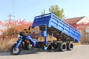 Nouvelle arrivée 2000kg - 3000kg capacité de chargement grand tricycle cargo à essence - Product Image 4