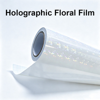 Film de lamination à froid holographique en PVC adhésif Elf pour verre brisé, rouleau de 1,27 m x 50 m pour studio, publicité et projets artisanaux