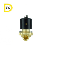 Électrovanne en laiton normalement ouverte/fermée électrovanne en laiton NC pas de filetage BSP NPT en stock électrovanne en laiton à 2 voies