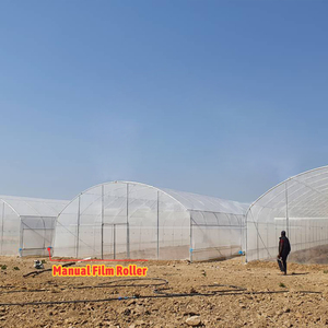 Serra Agricola Monocampata in Film Plastico BAOLIDA per <span class=keywords><strong>Semi</strong></span> di <span class=keywords><strong>Pomodoro</strong></span> - Product Image 2