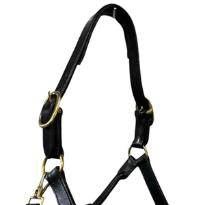 Harnais en cuir de haute qualité, durable, confortable, réglable et respirant pour chevaux - Product Image 5