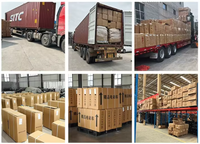 Baterai Asam Timbal 48V, Sepeda Kota Listrik, 21-percepatan, Jarak Tempuh 60km, Motor Hub Depan 250W, Tersedia.
