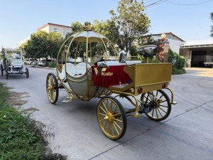 Offre Spéciale : Chariot Électrique Citrouille pour Mariage, Carrosse Doré Cendrillon pour Princesse, Voiture de Luxe pour Mariage et Visites Touristiques - Product Image 3