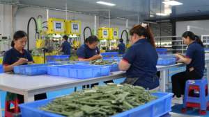 Klantspecifieke precisie-investeringgietonderdelen, lost-wax gietwerk service voor roestvrij staal, aluminium en messing - Product Image 6