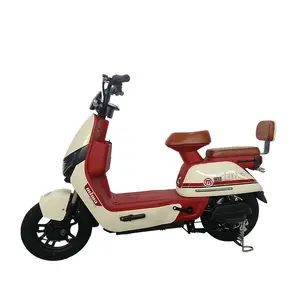 High Quality lithium battery e bike two seat electric bike with basket electric bicycle