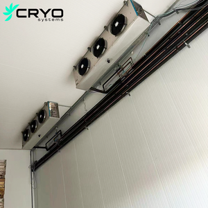 ห้องแช่แข็งระบบ CRYO สำหรับผู้ส่งออกอะโวคาโด พร้อมเครื่องยนต์ ปั๊ม ประหยัดพลังงาน รักษาความสดใหม่ สำหรับการขนส่งระยะไกล - Product Image 2