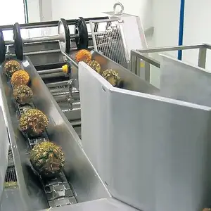 Línea automática de procesamiento de piña, máquinas de procesamiento de jugo de piña