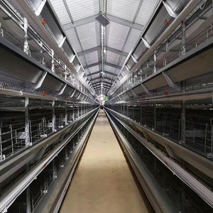 Equipo avícola equipo de cría de aves de corral gallinero granja avícola - Product Image 1