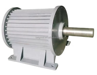 Générateur à aimants permanents 1kw 2kw 3kw Générateur portable Convient pour éolienne Moteur diesel Générateur de turbine