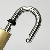 Cadenas en laiton Anin de haute qualité, personnalisable, antivol, à double levier, étanche IP65, avec anse universelle 40mm