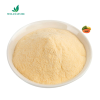 Poudre de Papaya à base d'extrait de fruits, produit de soins de santé naturel de haute qualité, g