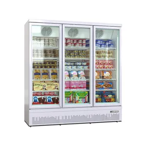 Ticari içecek soğutucu şarap soğutucu su dondurucu içecek buzdolabı marketten