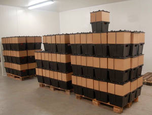 Origin Factory procona flor cubos contenedor para flores - Product Image 4