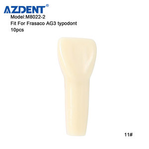 Modello Dentale Tipodonto Compatibile con Frasaco <span class=keywords><strong>AG3</strong></span> Tipo 32, Set di Denti Rimovibili per Pratica di Preparazione e Riparazione Carie - Product Image 5