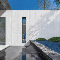 Dalles de sol extérieures antidérapantes 60x120, couleur blanche, aspect grès, 20 mm, pavés extérieurs