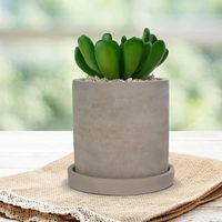 Jardinière ronde en ciment gris avec soucoupe et trous de drainage pour petites plantes de bureau à domicile Fleurs Cactus Herbes