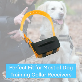 Correa de <span class=keywords><strong>Collar</strong></span> de perro de 1 pulgada de ancho de repuesto para <span class=keywords><strong>Garmin</strong></span> <span class=keywords><strong>DC50</strong></span> T5 TT15 TT10 T20 TT25 <span class=keywords><strong>Collar</strong></span> de seguimiento GPS - Product Image 6