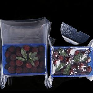 Sacs sous vide thermoscellables <span class=keywords><strong>FreshPack</strong></span> VB de qualité alimentaire PA/PE pour l'emballage des fruits Bayberry/Waxberry - Product Image 3