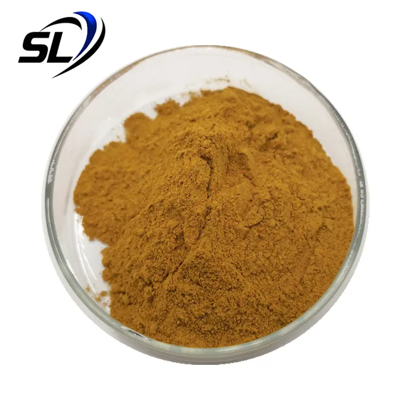 Organic Shiitake Extract 10%-50% AHCC Polysaccharides Shiitake Mushroom Extract Powder
