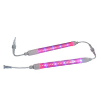Tubes LED T8 IP65 personnalisables, spectre complet, haute efficacité, possibilité de connecter plusieurs tubes pour la croissance des fruits du dragon et des légumes