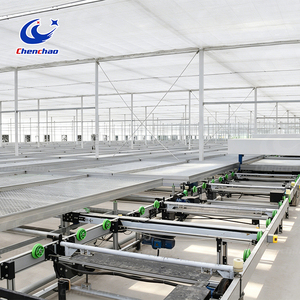 Sistema <span class=keywords><strong>de</strong></span> Bancos Rodantes <span class=keywords><strong>de</strong></span> Malla para Logística <span class=keywords><strong>de</strong></span> Fresas, Cama <span class=keywords><strong>de</strong></span> <span class=keywords><strong>Semillero</strong></span> Móvil Automática para Propagación <span class=keywords><strong>de</strong></span> Bayas y Estantes <span class=keywords><strong>de</strong></span> Cultivo Vertical - Product Image 1