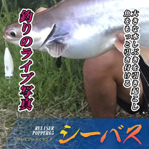 <span class=keywords><strong>Leurre</strong></span> Popper Hunthouse Big Mouth 8,5g 65mm, appât dur de qualité supérieure, yeux 3D, <span class=keywords><strong>leurre</strong></span> de pêche Popper pour la surface de l'eau - Product Image 5