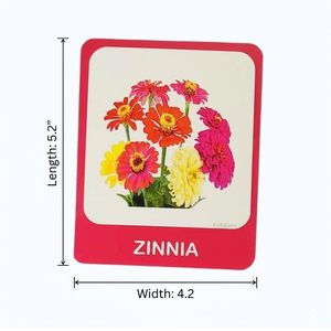 Tarjetas de aprendizaje basadas en el conocimiento para plantas y flores de color verde y florecientes |   30 Tarjetas de Aprendizaje sobre Plantas y Flores - Product Image 6