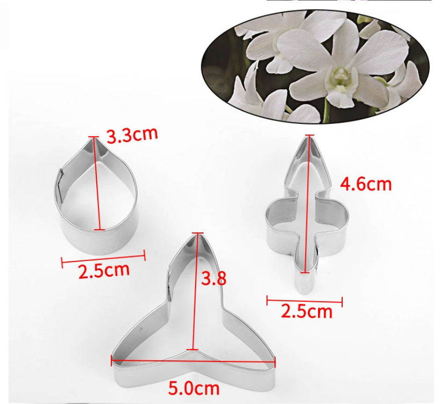 ซิลเวอร์-มอริ ออร์คิด บี