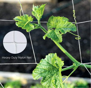 Red de enrejado de polipropileno y plástico para plantas trepadoras, Red de soporte para plantas de jardín con rejilla de malla duradera para verduras - Product Image 3