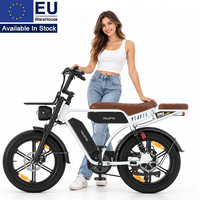 Vélo électrique rétro M9 250W 48V 35Ah Double batterie Autonomie de 130 km Garantie de 2 ans 7 vitesses Freins à disque hydrauliques E-bike