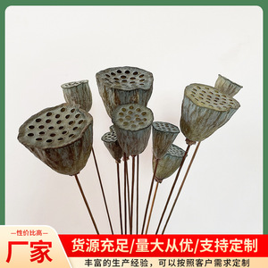 Pétales de lotus séchés, plantes décoratives naturelles, style artistique, accessoires photographiques, petite taille, fleurs séchées en gros - Product Image 5