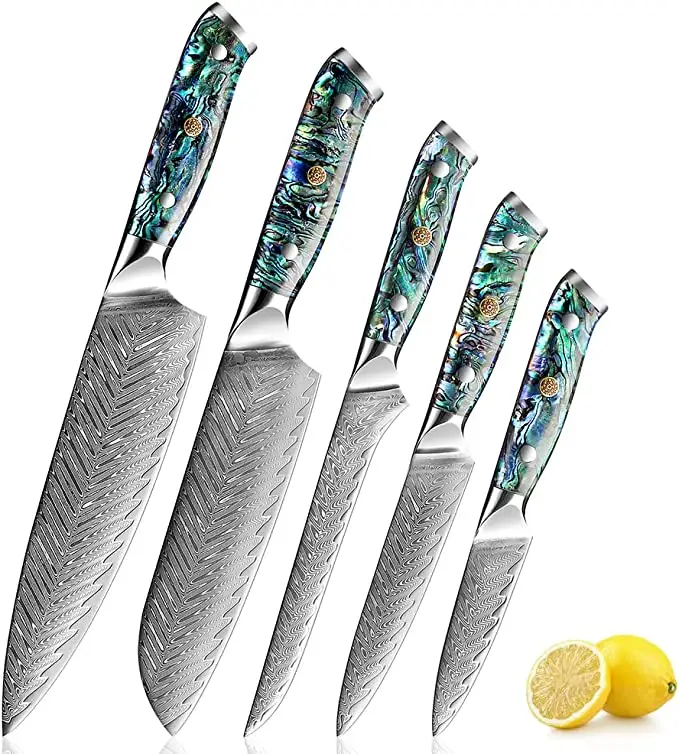 5 adet şam çeliği bıçak Set mutfak pişirme araçları şef bıçağı japon Santoku kemiksi saplı bıçak zarif kabuk kolu