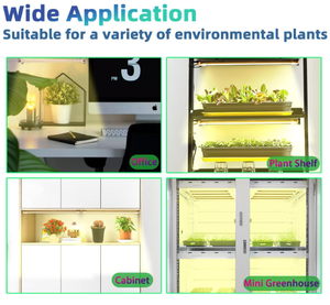 Lampe de croissance des plantes LED COB en aluminium IP54 avec minuterie USB, gradation intelligente, spectre complet, complément de floraison - Product Image 6
