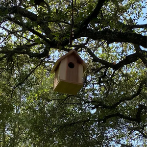 ODM OEM บ้านนกซีดาร์เป็นมิตรกับสิ่งแวดล้อมประมาณ8x6นิ้วไม้สำหรับเพื่อนขนนกเป็นเตียงสัตว์เลี้ยง - Product Image 5