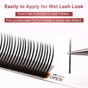 Nhãn hiệu riêng ướt nhìn lông mi mở rộng handmade 5D Flora <span class=keywords><strong>Lash</strong></span> Spike đóng PREMADE hoa <span class=keywords><strong>Lash</strong></span> cho ướt Bộ nhìn Trung Quốc giá - Product Image 5