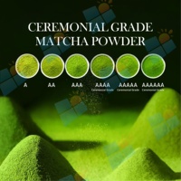 Poudre de Matcha Minceur Marque Blanche 100% Naturelle, Boisson au Thé Vert, Remplacement de Repas pour le Remodelage Corporel, Soutien à la Santé Intestinale et au Métabolisme
