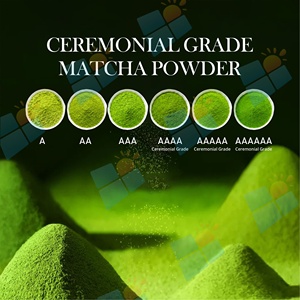 Matcha Slim en Polvo <span class=keywords><strong>de</strong></span> Marca Privada, Bebida <span class=keywords><strong>de</strong></span> Té Verde 100% Natural, Reemplazo <span class=keywords><strong>de</strong></span> Comida para Moldear <span class=keywords><strong>el</strong></span> Cuerpo, Apoyo para <span class=keywords><strong>la</strong></span> Salud Intestinal y <span class=keywords><strong>el</strong></span> Metabolismo - Product Image 5