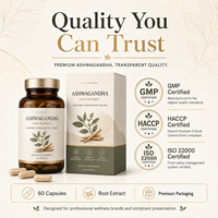 Capsules d'Ashwagandha standardisées à 5% de Withanolides, 600mg, extrait de racine de Withania Somnifera, certifiées GMP ISO, sans OGM, végétaliennes pour adultes